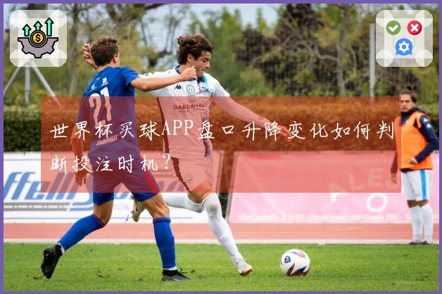 世界杯买球APP盘口升降变化如何判断投注时机?