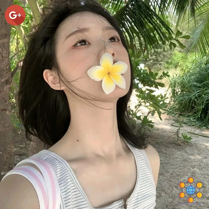 杨明球迷